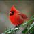 Sandy Kasper Graziano's profile image