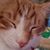 Angie Roby Jones's profile image