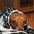 Bonnie McDaniel's profile image