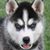 Wilson Ozment's profile image