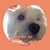 Jessica Cheng's profile image