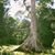 Victoria Zappia's profile image