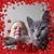 Jenn Martin's profile image