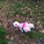 Wanda Edwards Howard's profile image