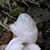 Linda Pasquan's profile image