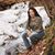 Crystal Lynn's profile image