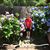 Donata Paccione's profile image