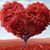 Maria Luz Macias's profile image