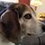 Stuart Rowe's profile image