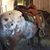 Linda Aiken Miller's profile image