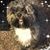Aileen Ilarraza's profile image