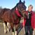 Shirley Zindars Corum's profile image