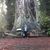 Margarita Galvis's profile image