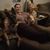 Tina Rasbury-Evans's profile image