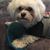 Heather Nevin's profile image