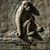 Bill Carey's profile image
