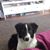 Debra Torres's profile image