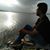 Talaash Kumar Srivastava's profile image