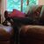 Carolyn Ernsperger's profile image