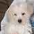 Alaina Mason Sharp's profile image