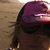 Elizabeth Beth Dougherty LaCasse's profile image