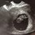 Katie Williams Gibson's profile image