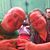Luci Jim Harbottle's profile image
