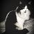 Pamela Winfrey's profile image