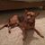 Vicki Ruggiero's profile image