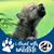 Donna Powell's profile image