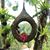 Susan Pascual's profile image