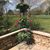 Lois Filby's profile image