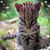 Gina Clark's profile image