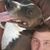 Aaron Joseph Norman's profile image