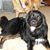 Christine Owoc Murray's profile image