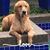 Michele Nichols Ferro's profile image