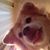 Celia Featherstonehaugh's profile image