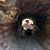 Romy Patajo's profile image