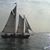 Marian Sforza's profile image