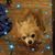 Sarah Boney's profile image