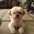 Marguerite Sayago's profile image