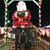Lynda Seebo's profile image