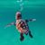 Sharon Morris's profile image
