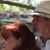 Esther A. Viator's profile image