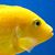 David George's profile image