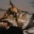 Malinda Weber's profile image