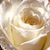 Theresa Hogan's profile image