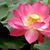 Mary Sloand's profile image