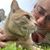 Wendy Forand's profile image