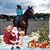Cathy Delph's profile image
